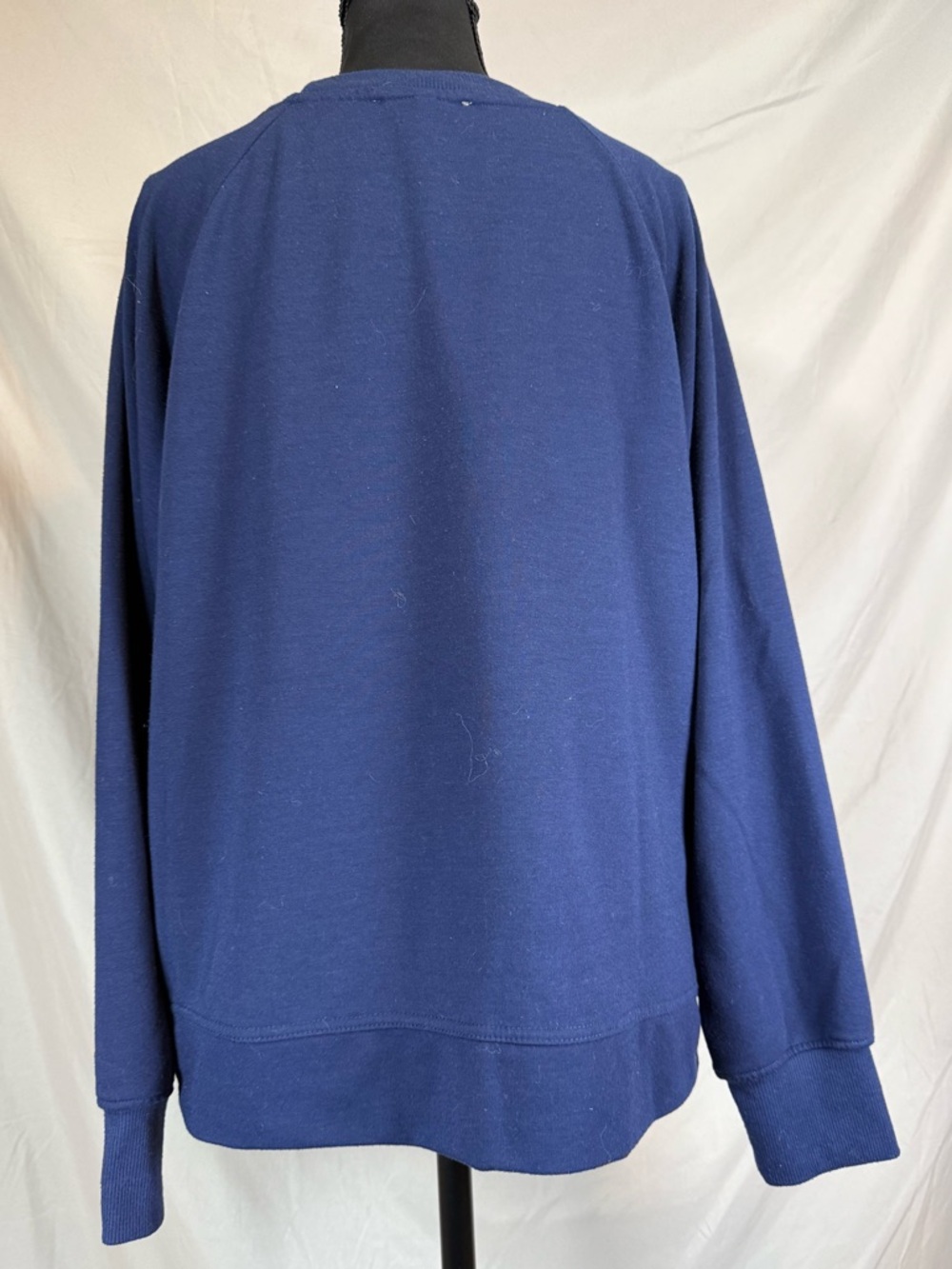Anthropologie Philosophy Republic Clothing Patriotic Crewneck 🇺🇸✨ - Picture 5 of 6